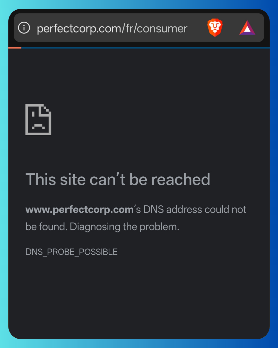 PerfectCorp Business