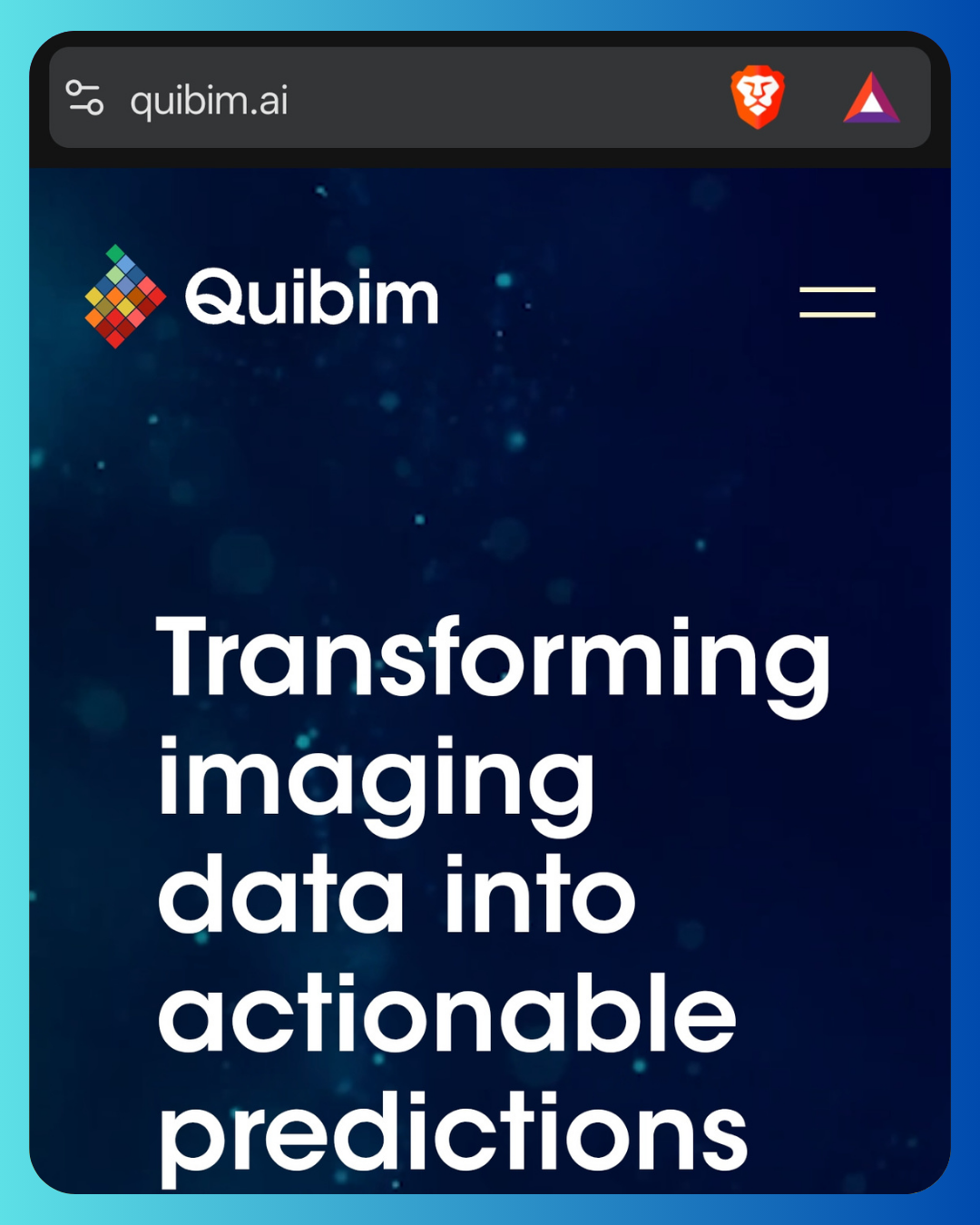 Quibim