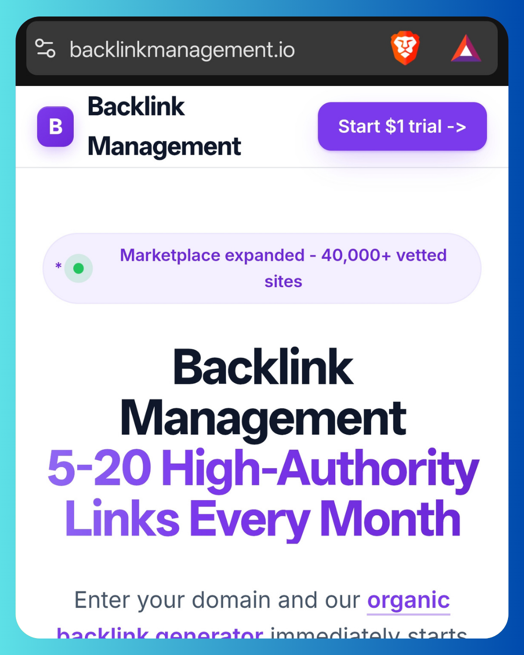 Backlink Management